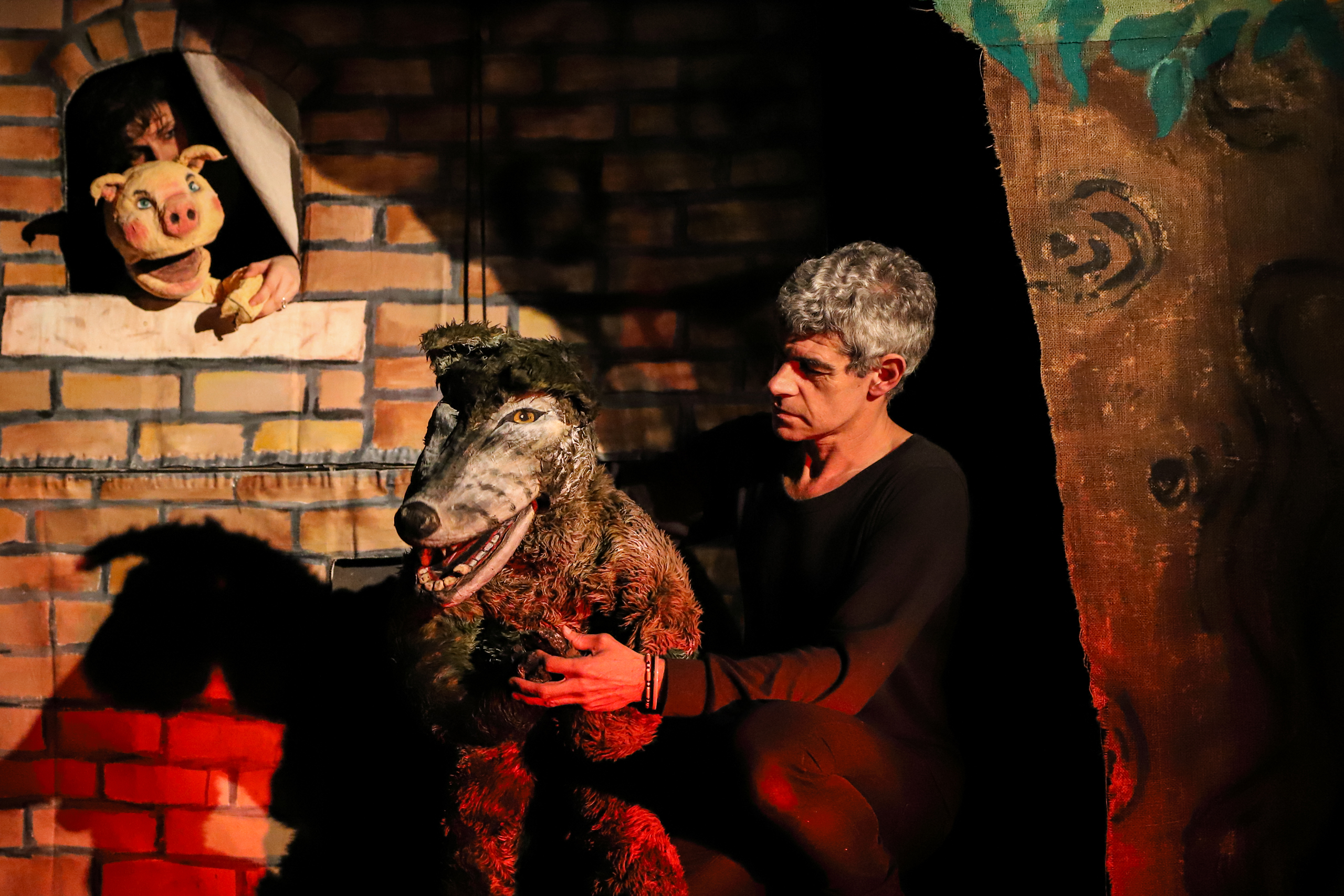 foto spettacolo I tre porcellini di Il Teatro delle Marionette degli Accettella