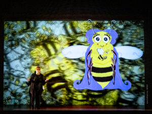 scena dello spettacolo Ape Pina