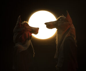 marionette dello spettacolo